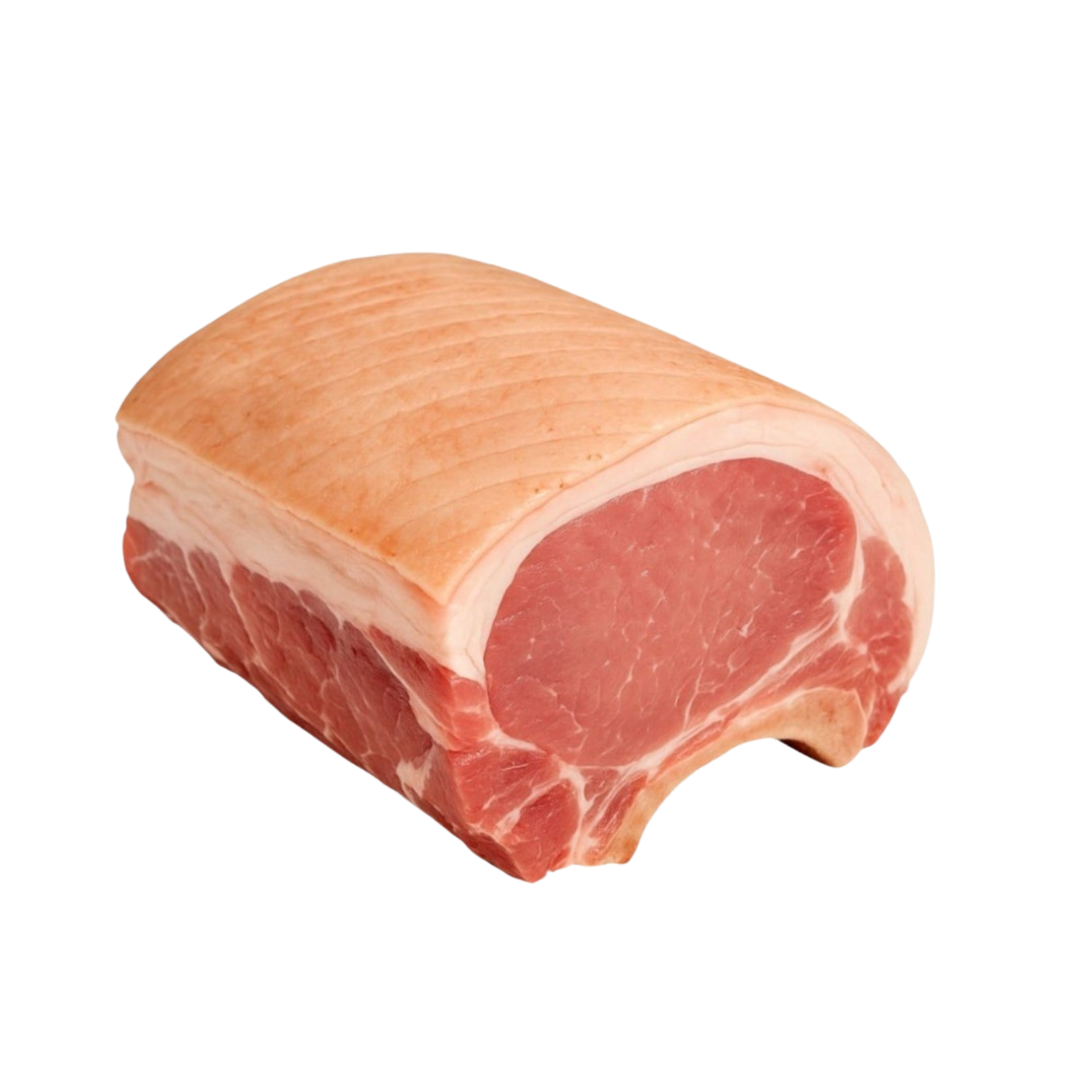 3kg/6.6lb [+$4,800.00 ]